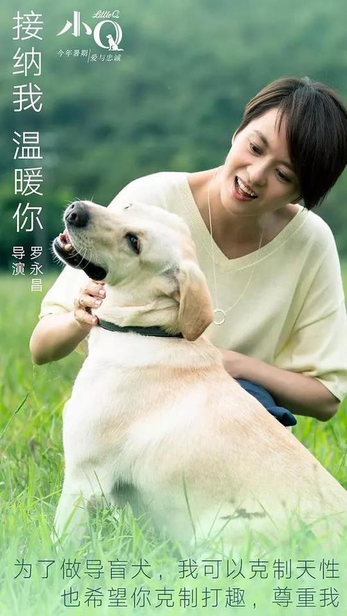 印第安那州立大学 Certificate